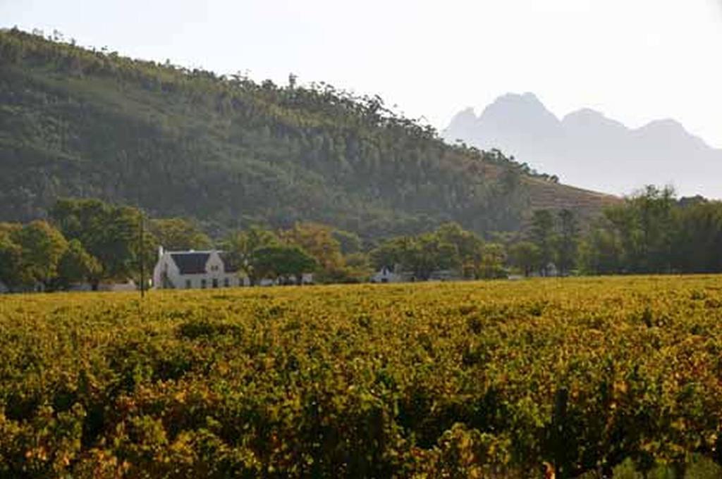 Basse Provence Country House Bed & Breakfast Franschhoek Exterior photo