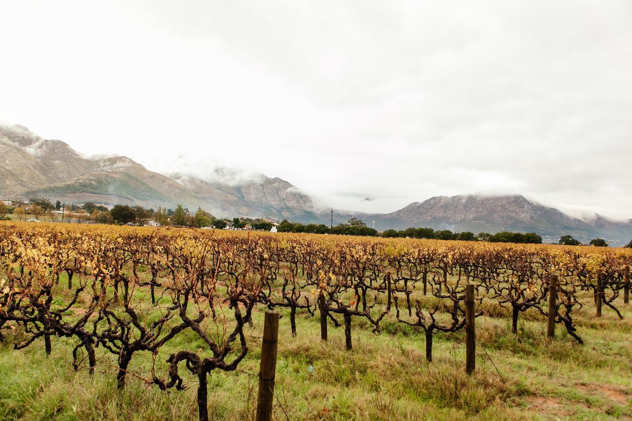 Basse Provence Country House Bed & Breakfast Franschhoek Exterior photo