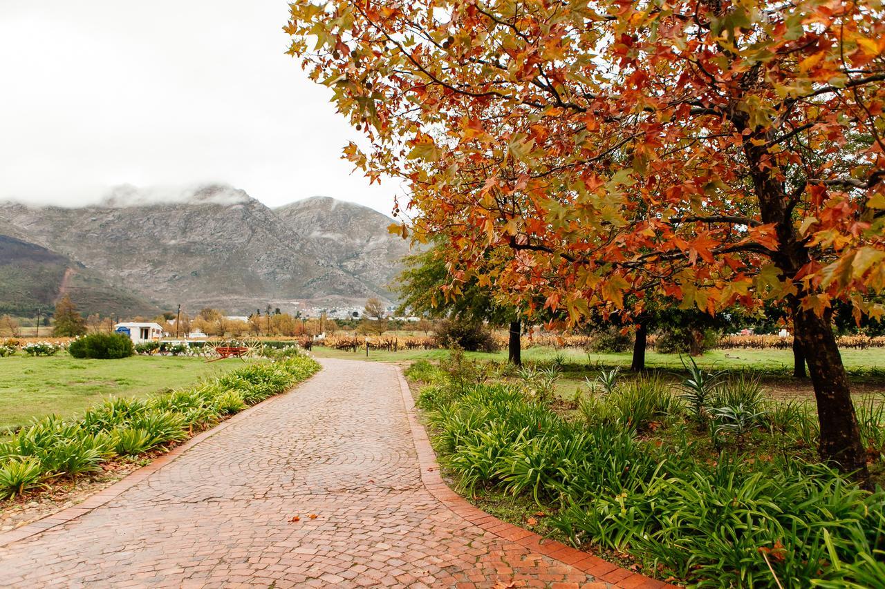 Basse Provence Country House Bed & Breakfast Franschhoek Exterior photo