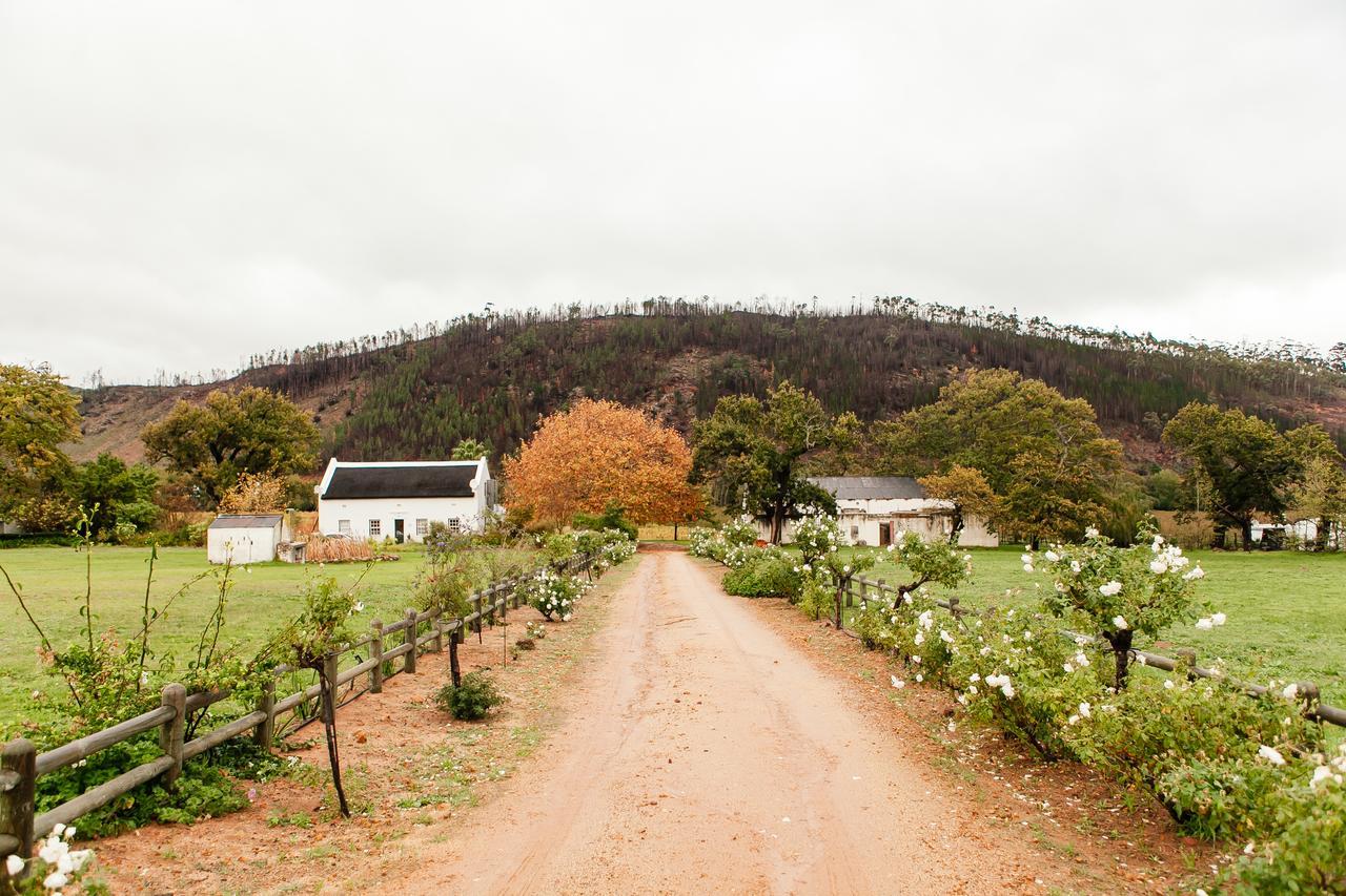 Basse Provence Country House Bed & Breakfast Franschhoek Exterior photo